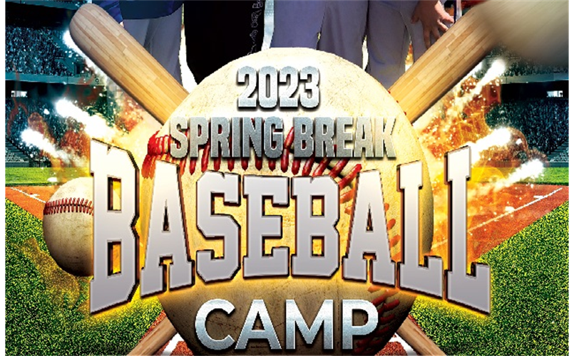 Diamond Skills Spring Break Baseball Camp