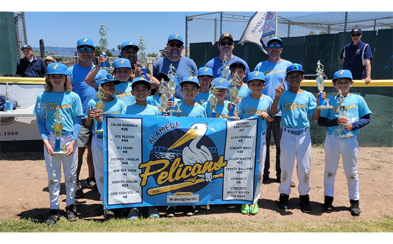 AAA Champion Pelicans