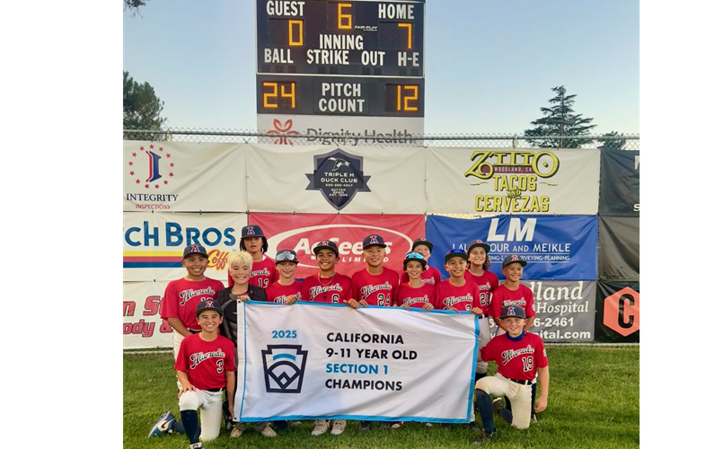11U All Stars Section Champions - Advance to NorCal State
