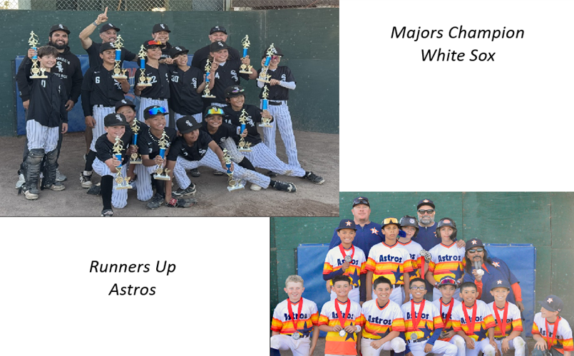 Majors Champion White Sox